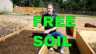 How to Fill a Raised Bed (And Save Money)