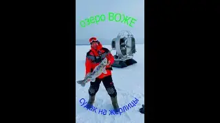 Судак на жерлицы.Рыбалка на Русском Севере.озеро Воже.