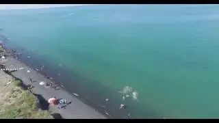 Пляж возле поселка Акши, Алаколь