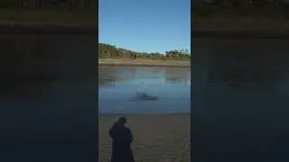 How to do surfcast fishing 