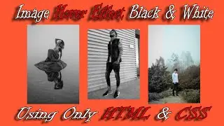 Image Hover Effect Black & White Using HTML & CSS | تأثير أبيض وأسود على الصورة بالهوفر
