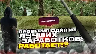 ПРОВЕРИЛ ОДИН ИЗ ЛУЧШИХ ЗАРАБОТКОВ НА ХАССЛЕ! РАБОТАЕТ? РАДМИР РП