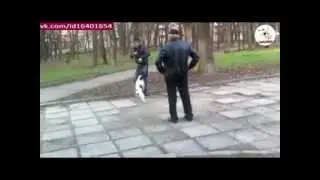 Старик защищает своего питомца