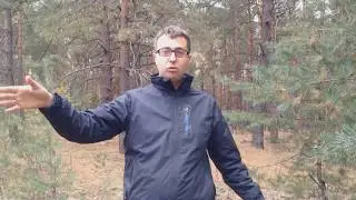 СМОТРИМ ДОМА ПОД ХАРЬКОВОМ - С. Задонецкое