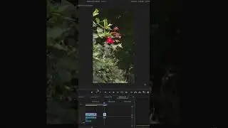 Premiere Pro editing tip - How to Create DIGITAL zooms to mimic a slider
