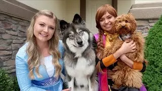 Princess Anna Surprises Elsa & Kakoa with Puppy Play Date!