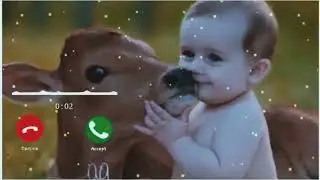 New Cute SMS Ringtone // Message Ringtone // best message tone // funny message ringtone //