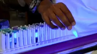 Purification of Green Fluorescent Protein, Part I