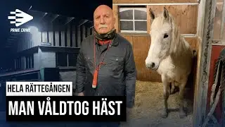 MAN VÅLDTOG HÄST | HELA RÄTTEGÅNGEN