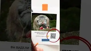 Подробный гайд у меня в Телеграм @metodkomarova (в шапке канала)