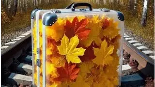 Славянск.28.10.24.🍁 Была в  Аптеке, на  Пятаке. Обзор Покупок. 😁 Котята  спускают Воду!😼