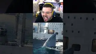 Proof The Megalodon Is Real...