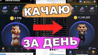 Тапаю Хомяка с помощью Пайтон Бота / Прокачка Hamster Kombat