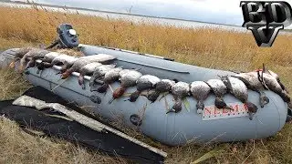 Охота на утку 2019 !!! СТОЛЬКО УТОК Я ЕЩЕ НЕ ВИДЕЛ