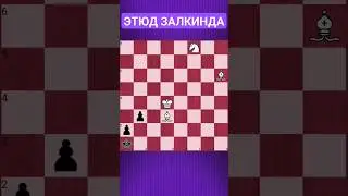 💥КОВАРНАЯ ЗАСАДА 