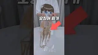 가성비 오징어회 꿀팁 (아마도)