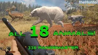 Hunting EVERY Animal with the 338 RANGEMASTER!! Call of the WILD THEHUNTER 2018