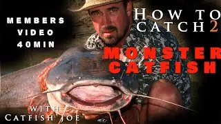 Everything you need to know. How to catch monster catfish in Africa.