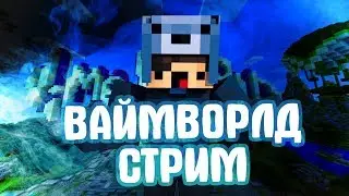 ЗАДОНАТИЛИ НА 1000рублей НА МЕЧТЫ! VIMEWORLD [СТРИМ]