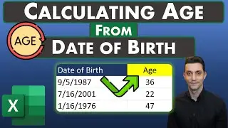 Excel Tips - Calculating Age from Date of Birth | DATEDIF Function