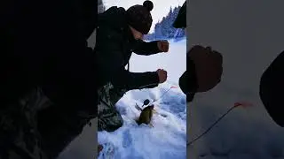 ЖИВУТ ЖЕ ЛЮДИ 