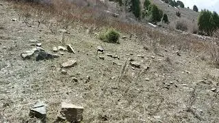 Не удачный Охота кеклик Шикори Кабк Keklik avi tuzakla Partridge hunting شکار کبک Chukar avi