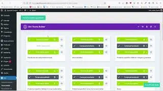 Solución a Error Divi constructor de temas un error desconocido