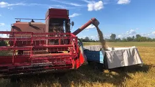 Обжинки! Молотимо овес, такого результату ми не очікували