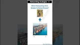 Network Analogies 4 