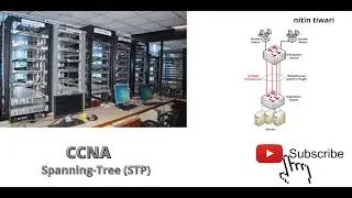 STP(Spanning tree Protocol) for begginerr