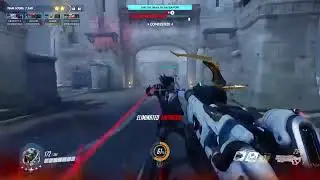 Pro