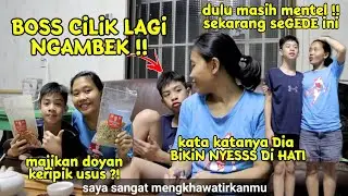 Nemenin boss cilik yang lagi ngambek !! MAJIKAN DOYAN KERIPIK USUS ?!