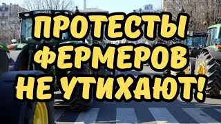 Протесты фермеров в Европе не утихают. Последние новости