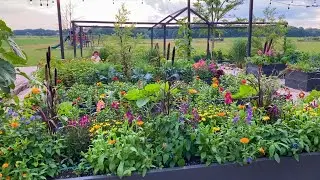 Raised Garden Bed Tour | Vegetables & Flowers Mixed