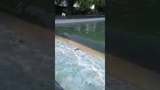 Симферополь река Салгир большой уровень воды 5 июня 2023