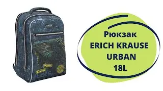 Ученический рюкзак ErichKrause ErgoLine Urban 18L