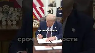 Белоусов воспользовался решением Трампа | Новости