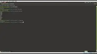 Fundamentals Of Linux #9 - wc and nl Command