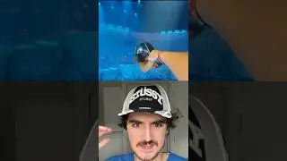 Эта КЕПКА ЖИВЕТ ИНТЕРЕСНЕЕ ТЕБЯ?! 