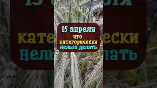 15 апреля Великая суббота, праздник Тит Ледолом. Что нельзя делать. Народные традиции приметы