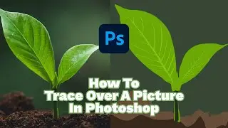 How to trace over a picture in photoshop