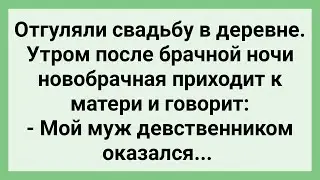 Невеста После Брачной Ночи Хвастается Матери! Сборник Свежих Смешных Жизненных Анекдотов!