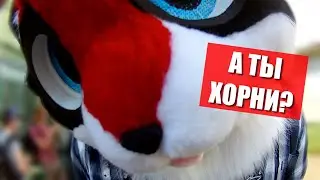 😂 Horney raccoon free ✅ Furry walk in Moscow