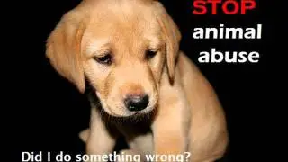 SCTA Presents- How to protect animals