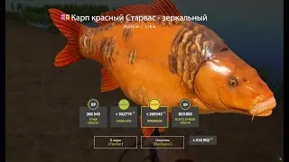 Трофейный Старвас 25кг на оз. Янтарное - Русская Рыбалка 4