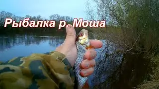 РЫБАЛКА на реке МОША с Николаем Лысковым