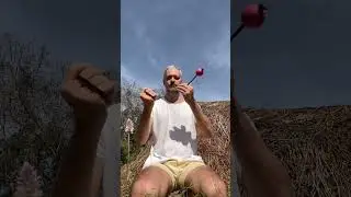My morning routine with airturns in 