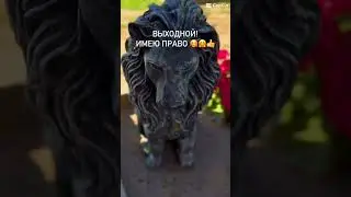 Мой выходной! Просто счастье!