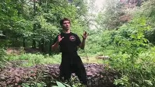 Видео-Пробы (Что такое безумие)