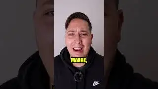 Cuando usar flutter web? 